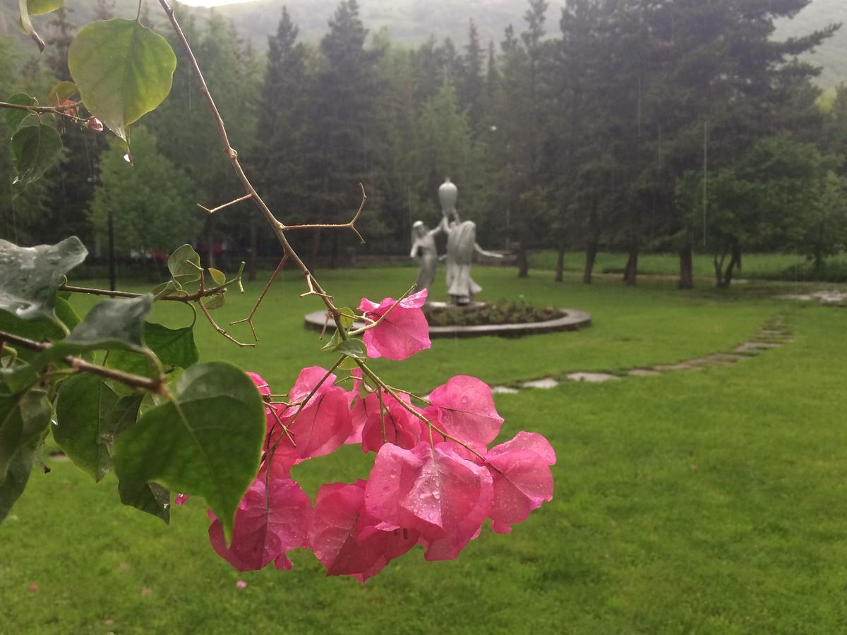 Jermuk Olympia Sanatorium Hotel Exterior photo